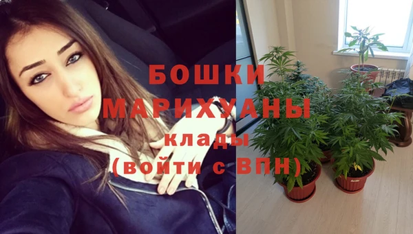 прущие грибы Остров