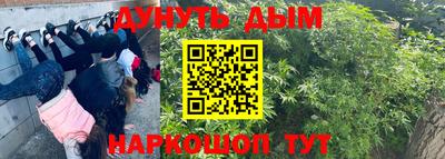 ГАЛЛЮЦИНОГЕННЫЕ ГРИБЫ Абакан