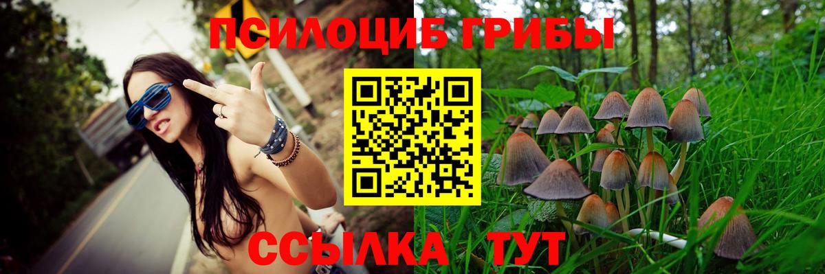Псилоцибиновые грибы GOLDEN TEACHER  Вход с VPN  как найти наркотики  Апатиты 