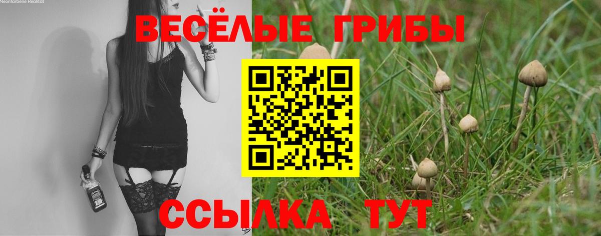 Галлюциногенные грибы прущие грибы Апатиты