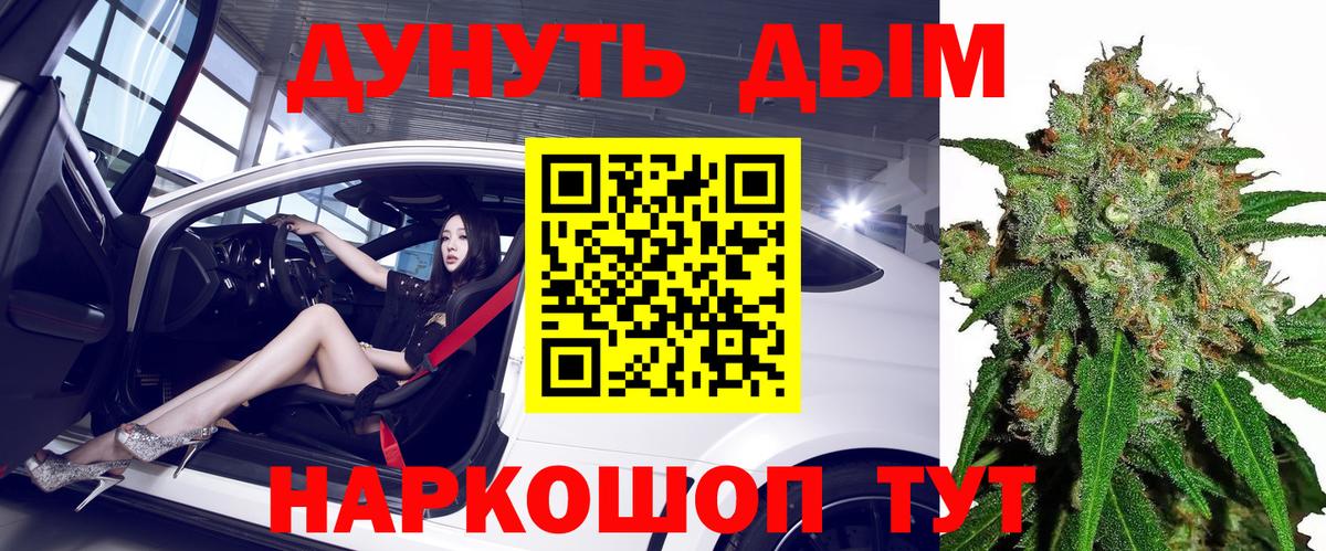 Бошки Шишки OG Kush  Бошки марихуана планчик  Конопля ГИДРОПОН  Канабис планчик  Апатиты 